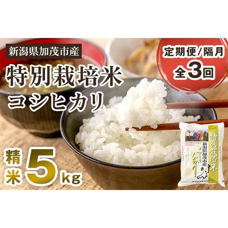 ふるさと納税 新潟県加茂市産 特別栽培米コシヒカリ 精米5kg 白米 従来品種コシヒカリ 加茂有機米生産組合 定期便 定期.. 新潟県加茂市