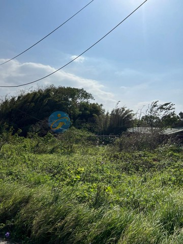 【桃園新屋】稀有甲種建築用地｜桃園市新屋區番婆