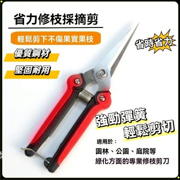 園藝剪刀 修剪樹枝剪刀 農用剪刀 葡萄剪 安全剪刀 園藝修枝器 果樹剪 花枝剪刀 不鏽鋼修枝剪 花剪 剪定鋏 粗枝剪刀