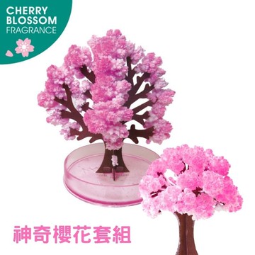 【賽先生科學工廠】紙樹開花-神奇櫻花套組(1大+1小)