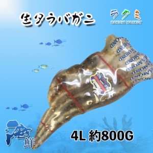 冷凍 生タラバガニ 4Lサイズ 1肩 約800g カニ 蟹 たらばがに 贈り物  1肩