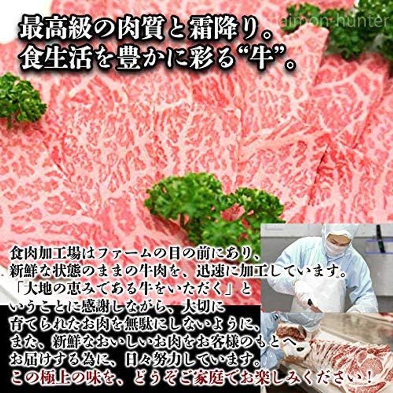 九州産黒毛和牛 藤彩牛 A4?A5 モモ 焼肉用 300g×1P 2人前 フジチク 贈答品 BBQ お花見