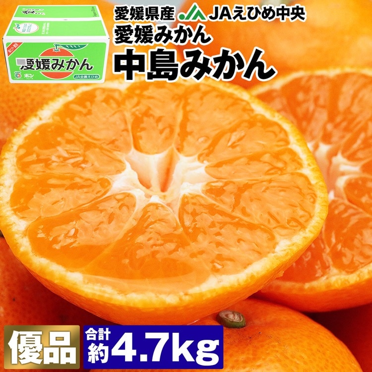 みかん 4.7kg 愛媛県産 中島みかん S M Lサイズ 優品 愛媛みかん JAえひめ中央 常温便 同梱不可 ミカン 蜜柑 柑橘 指定日不可