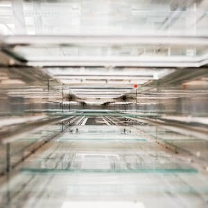 Ammonia - Feeding the world and greening shipping