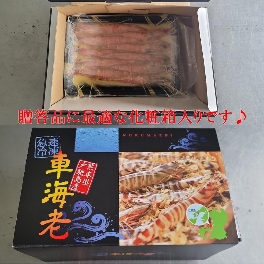 車海老の味噌漬け 1kg 28〜44尾 中〜大サイズ   250g×4パック  一級品の車海老のみを素材に使用！