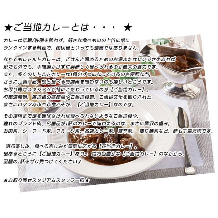 47都道府県ご当地カレーセット 景品 保存食