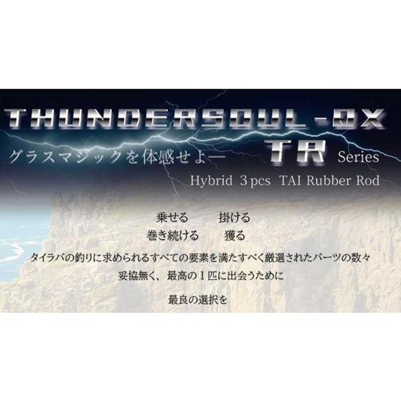 櫻井釣漁具 さくら サンダーソウル THUNDERSOUL-QX TR-66XH スパイラル ...