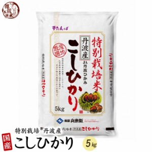 ＼ セール ／ 特別栽培米 コシヒカリ 5kg 精白米 丹波産 令和5年産 単一原料米 送料無料 精米工場からの直送品