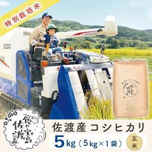 ふるさと納税 特別栽培米 佐渡島産コシヒカリ 玄米5Kg×1袋 新潟県佐渡市