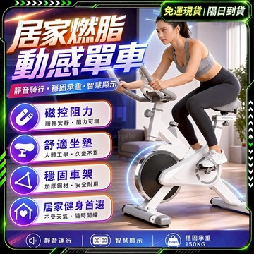 🥇歐曼🥇隔日達 飛輪健身車 SGS安全認證 飛輪單車 動感室內單車 家用健身車 健身單車 健身腳踏車 磁控飛輪