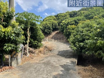 $大樹區龍目段_開心農場2分地漂亮農地｜高雄市大樹區龍目段