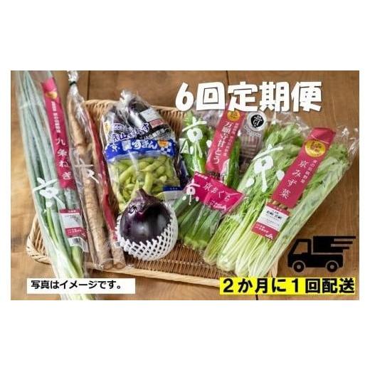 ふるさと納税 京都府 京都市 ＜6回　定期便＞２か月に１回配送！季節の京野菜セット