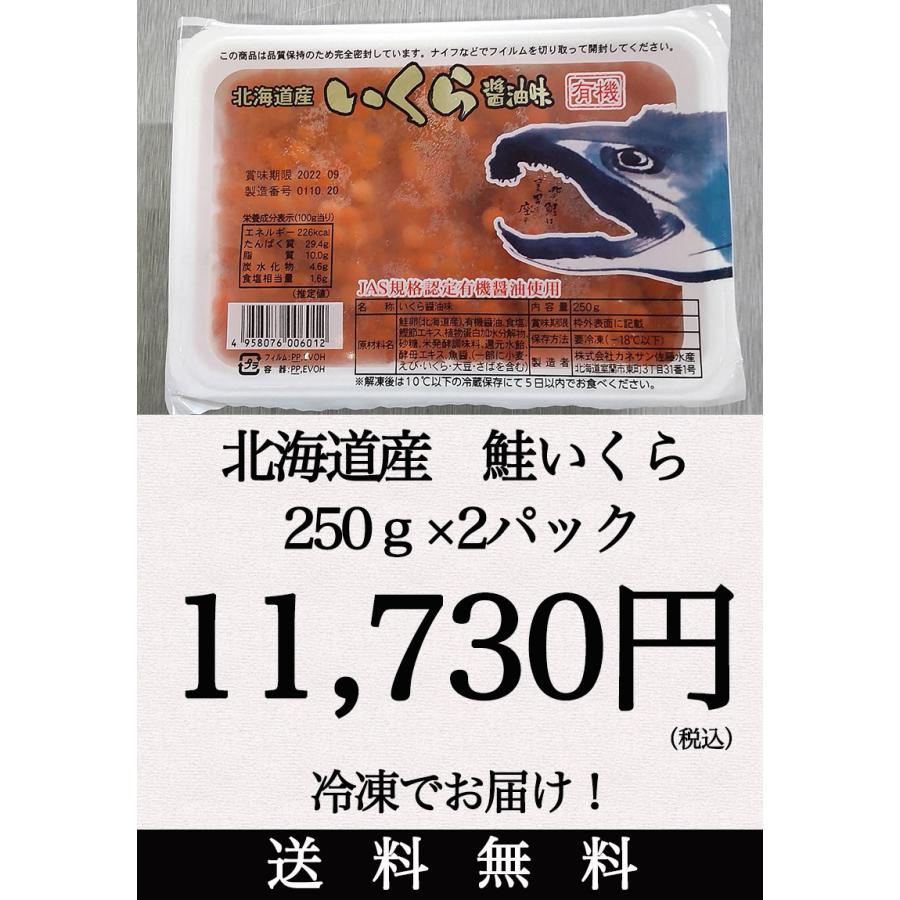 いくら しょうゆ漬け イクラ ギフト 送料無料 国産 北海道 いくら しょうゆ漬け 500g ギフト おせち お歳暮 敬老の日 いくら イクラ しょう油漬 海産物