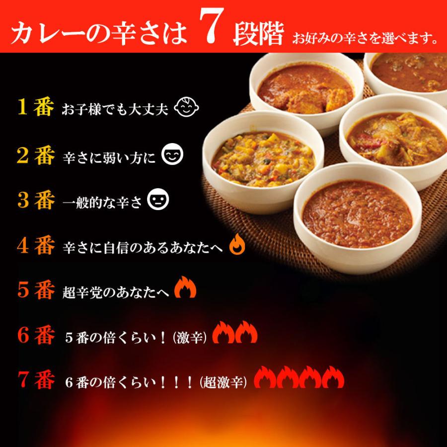 インドカレー ミルチ 辛さを選べる チキンカレー 野菜水分100% 無水調理 冷凍 カレー 北海道 札幌の老舗インドカレー専門店