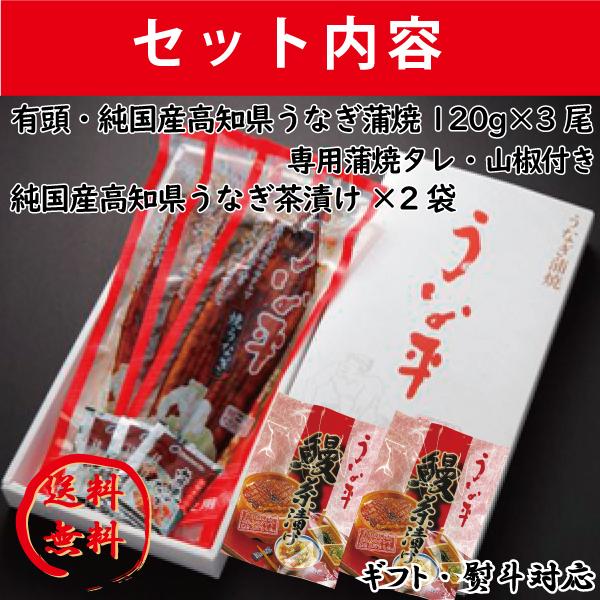 高知　国産　鰻　蒲焼　3尾　鰻茶漬けセット　贈り物 ギフト 内祝 御歳暮 御中元 高知　特産品