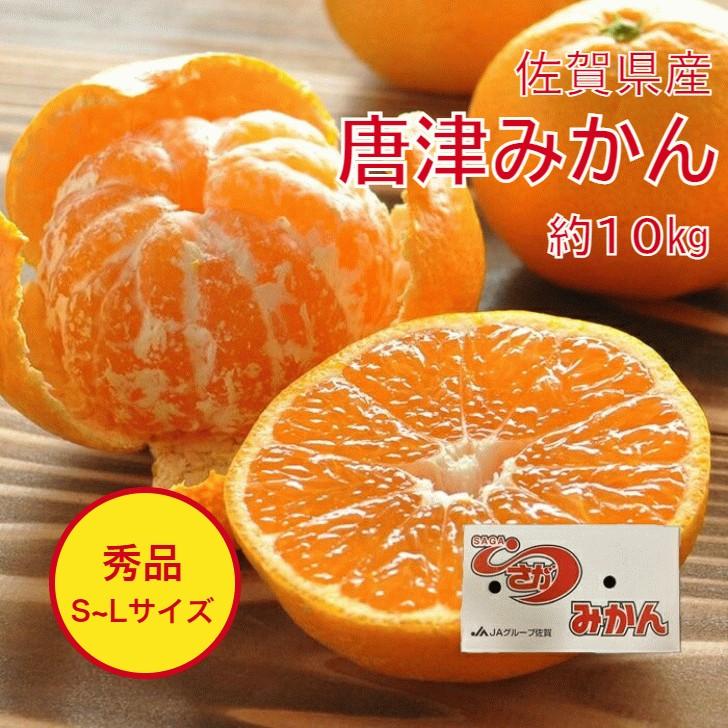 送料無料 佐賀県産 唐津 唐津みかん 温州みかん S M L 玉 10kg 前後 みかん 蜜柑 みかん 温州ミカン 甘いみかん お歳暮  果物 くだもの フルーツ ギフト