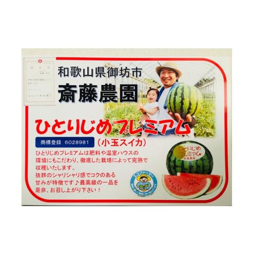 ふるさと納税 和歌山県 御坊市 小玉スイカ2玉　紀州プレミアムひとりじめ／3.5kg程度≪先行予約2024年６月上旬以降発送分≫｜スイカ すいか 小玉スイカ ひとり…