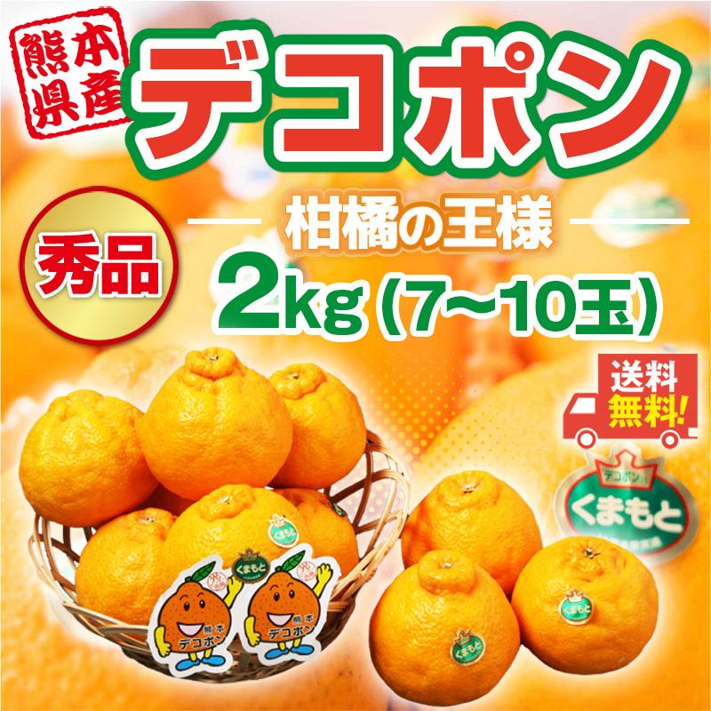 デコポン 熊本県産 秀品 2kg 7-10玉 糖度13度以上 光センサー選果 高糖度 濃厚 贈り物 贈答 ギフト プレゼント お土産 先行予約 常温便