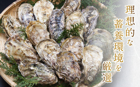 活き天草真牡蠣 2kg（100g以上×20個）加熱用かき 牡蠣 カキ