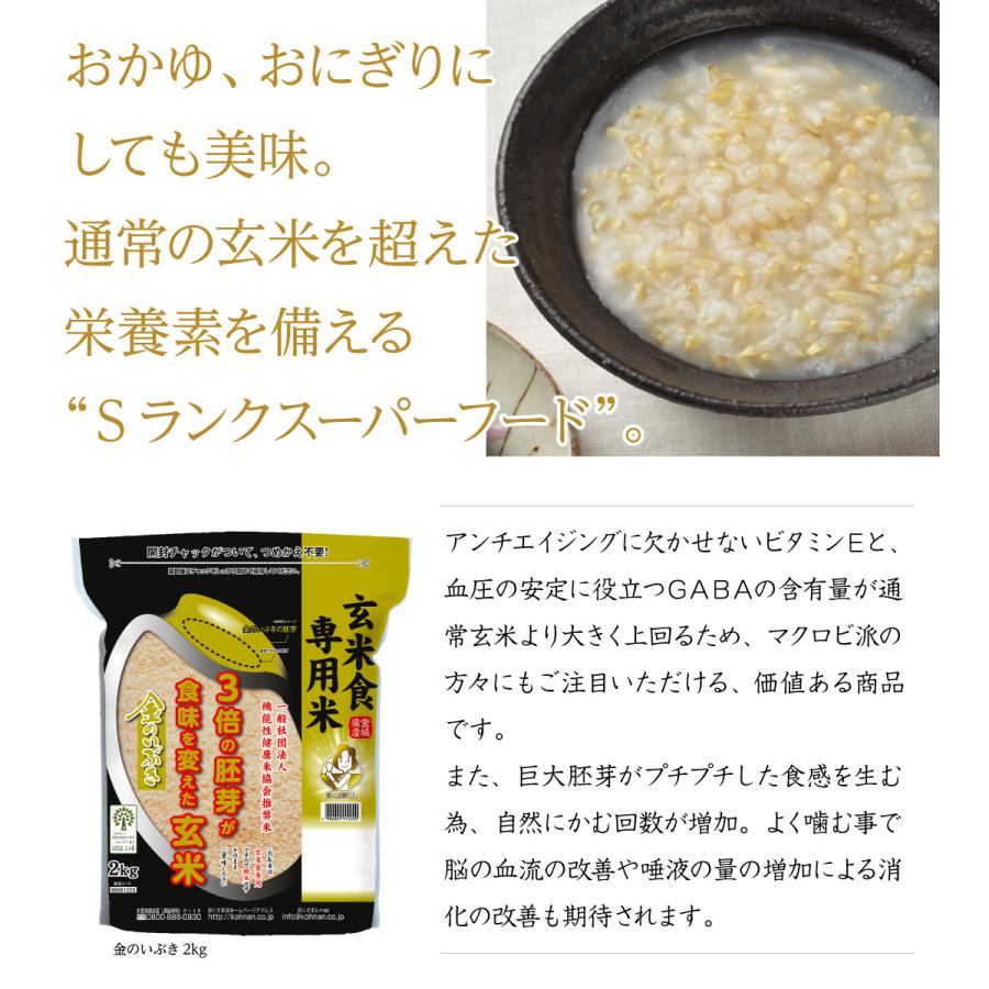 玄米 10kg 米 お米 金のいぶき 玄米 宮城県 送料無料 おこめ 米10kg 玄米10kg 5kg×2 10キロ 美味しい 銘柄 単一原料米 令和5年産 宅配 安い 格安