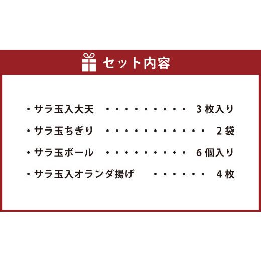 ふるさと納税 熊本県 水俣市 サラたま天平（ 天ぷら ）セット 練り物 かまぼこ おやつ