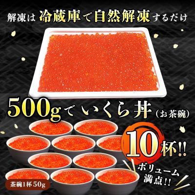 ふるさと納税 釧路町 いくら醤油漬け 500g ×5個セット ＜北海道産の鮭卵＞