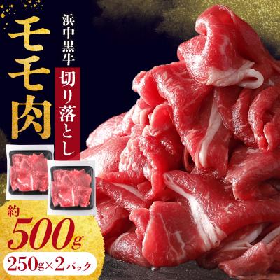 ふるさと納税 浜中町 浜中黒牛モモ肉切り落とし(500g)