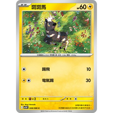 喬桌遊 斑斑馬     028  /  086 SV11W 寶可夢PTCG卡牌遊戲