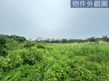 岡山路科本洲產業園區旁農地｜高雄市岡山區新本洲段