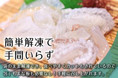 唐津呼子産いか活造り 2杯(約250g×2) 急速冷凍 新鮮そのまま食卓へ！イカ 刺身 簡単 ギフト