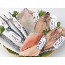 釜石永野商店の干物セット6種　(さんま・真ほっけ・柳かれい・いか・さば・赤魚) お魚一夜干をお届け