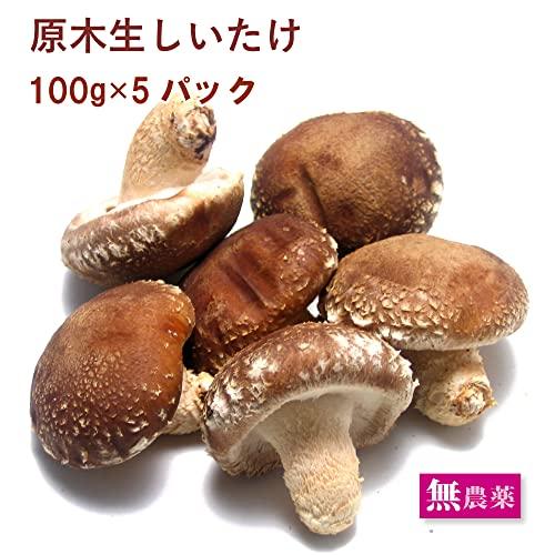 原木栽培　生椎茸　5〜6枚入×5パック