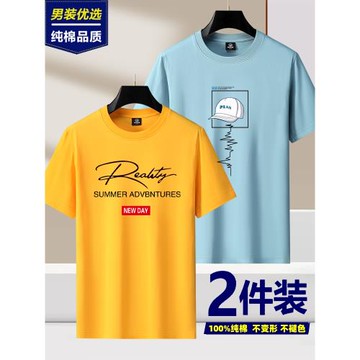 2件】純棉短袖男士T恤2025夏季新款休閑時尚學生半袖寬松體恤潮