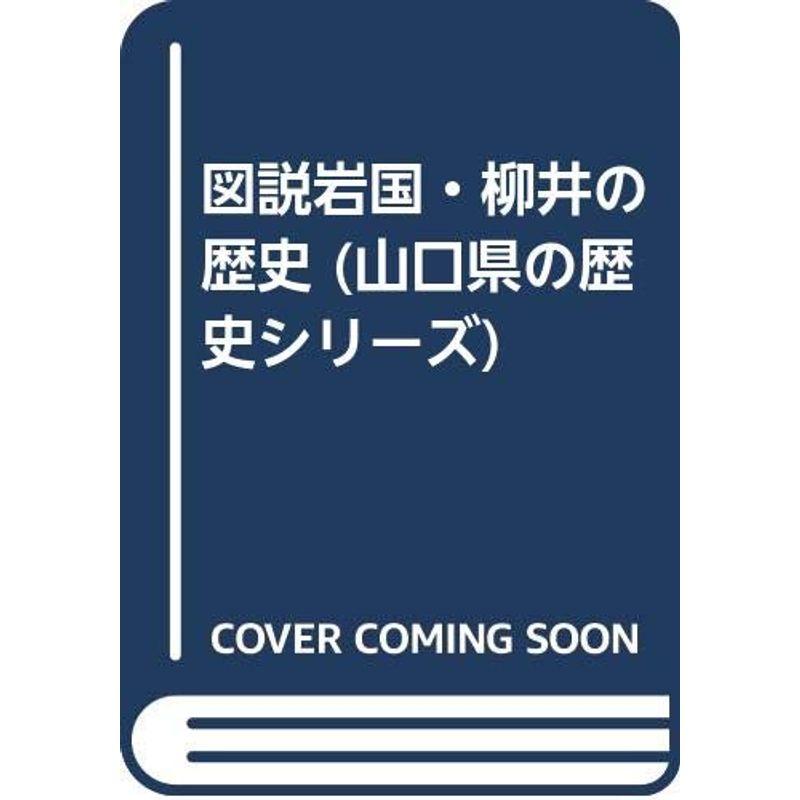 図説岩国・柳井の歴史 (山口県の歴史シリーズ)