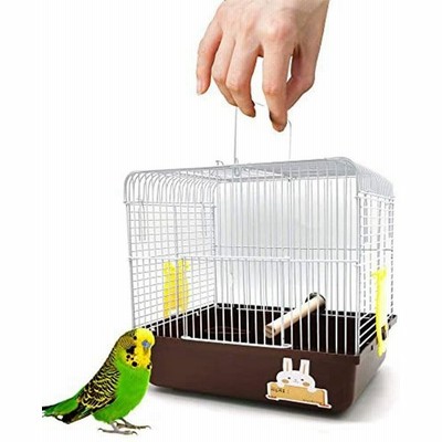 おしゃれ バードゲージ シンプル 文鳥 セキセイインコ ケージ オカメインコ 鳥かご 彫刻 鳥小屋 Lqmt 191 Www Pianurainn It