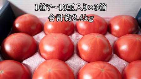 スーパーフルーツトマト てるて姫 小箱 約800g × 3箱 7〜13玉  糖度9度以上 ブランドトマト フルーツトマト トマト とまと [BC037sa]