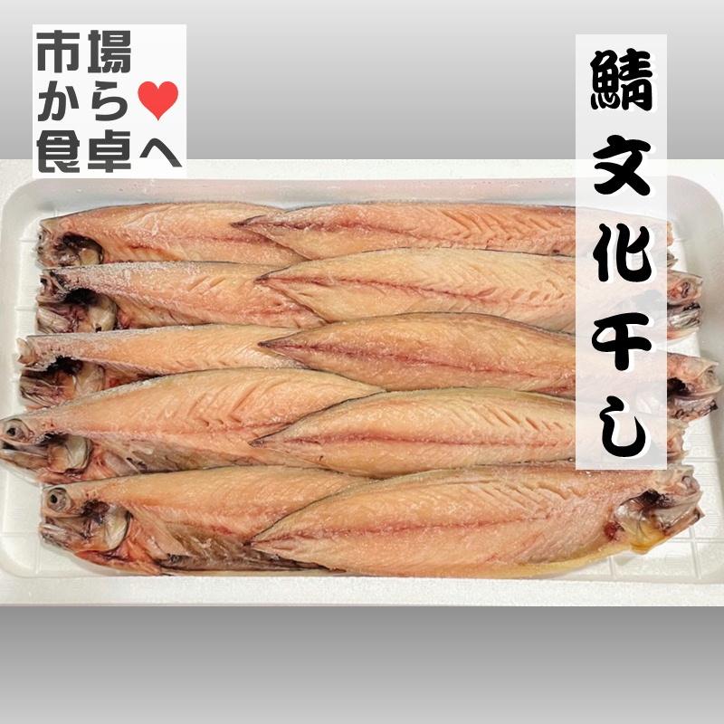 さば文化干し 鯖の干物 10枚(1枚当たり約120g)脂のっています