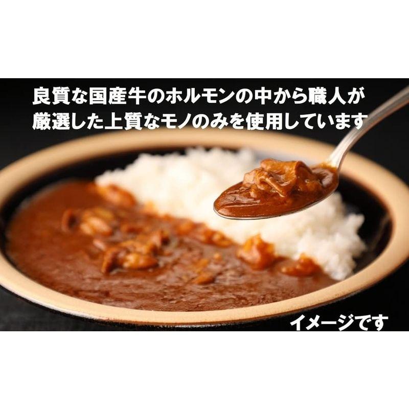 京都食肉市場直送 牛ホルモンカレー 30個セット 中辛 1人前200g 国産牛ホルモン使用 レトルトカレー