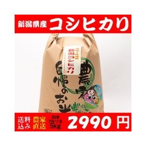 お米 5kg 白米 送料無料 新潟県糸魚川産 コシヒカリ 新米 精米7分  令和5年度産