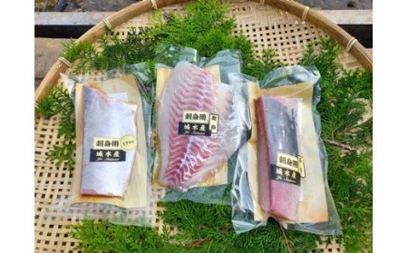 （冷蔵）伊勢志摩産　朝どれ　２～３種（約350ｇ）　お刺身用　おまかせセット／城水産　鯛　鰤　たい　ブリ　新鮮　真空　海の幸　三重県　南伊勢町