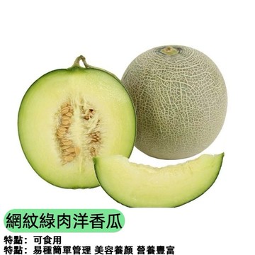 網紋綠肉洋香瓜種子(哈密瓜種子) 綠肉哈密瓜 當季栽培種籽 香甜多汁 家庭園藝 陽台盆栽 瓜果植栽 豐產瓜  自種食材