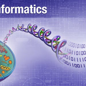 Bioinformatics: Introduction and Methods 生物信息学: 导论与方法