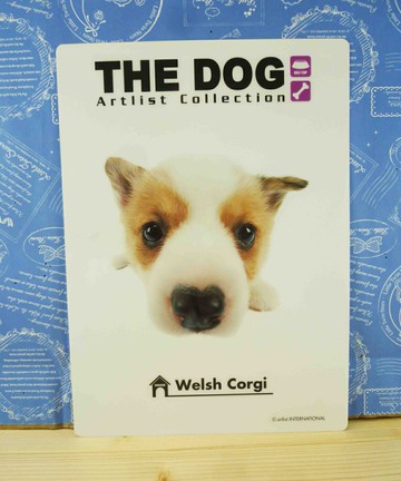 【震撼精品百貨】新大頭狗 The Dog 墊板-柯基 震撼日式精品百貨