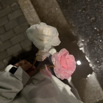 綠安禾🚚 新款七夕情人節送老婆女友閨蜜生日520禮物冰晶玫瑰花永生花浪漫
