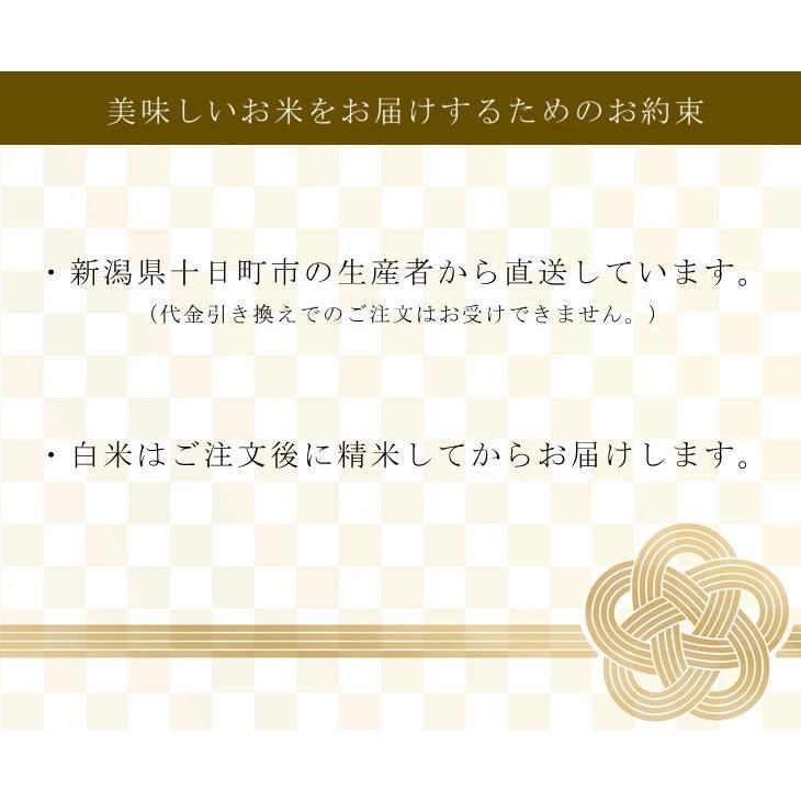新米 令和5年産 魚沼産コシヒカリ 吉村さんちのお米 無洗米 10kg （5kg×2袋） 非BL クラシックコシヒカリ 産地直送 sea farm