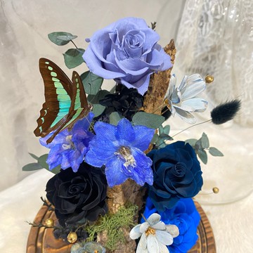 藍 蝴蝶標本 小夜燈 永生花 玻璃盅(大)