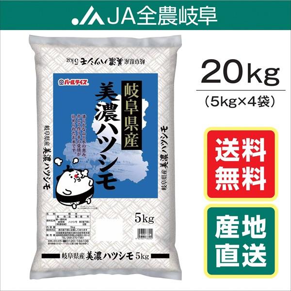 米　令和5年産 お米　20kg　美濃ハツシモ　岐阜県産　(5kg×4袋)　 送料無料（一部地域を除く）レビュー投稿エコバックが付く