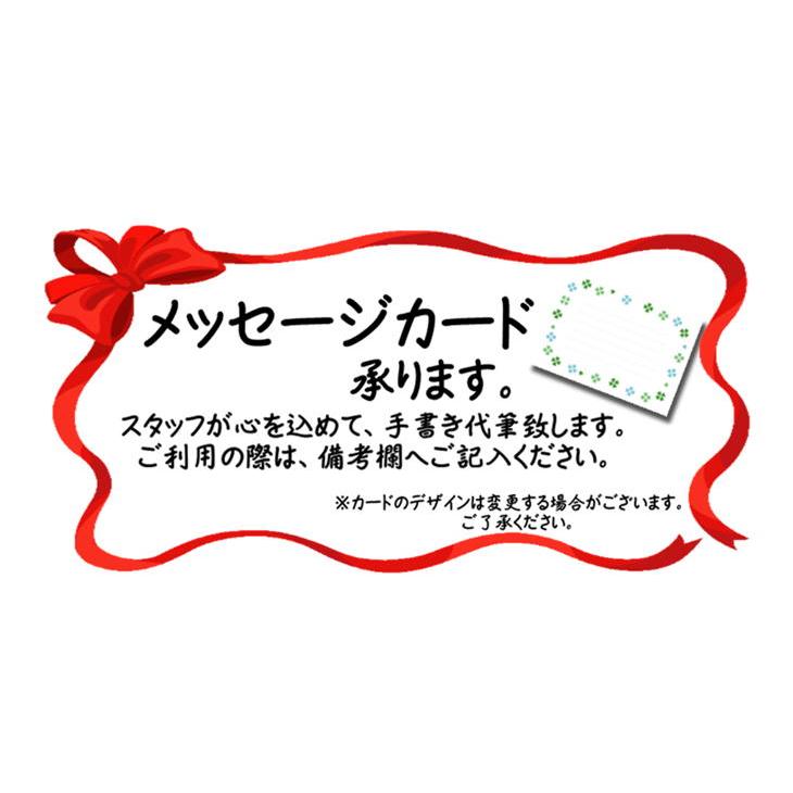 肉 鍋 飛騨牛 しゃぶしゃぶ ロース 500g 送料無料 リブロース サーロイン 和牛 お歳暮 お中元 御祝 内祝 御礼 父の日