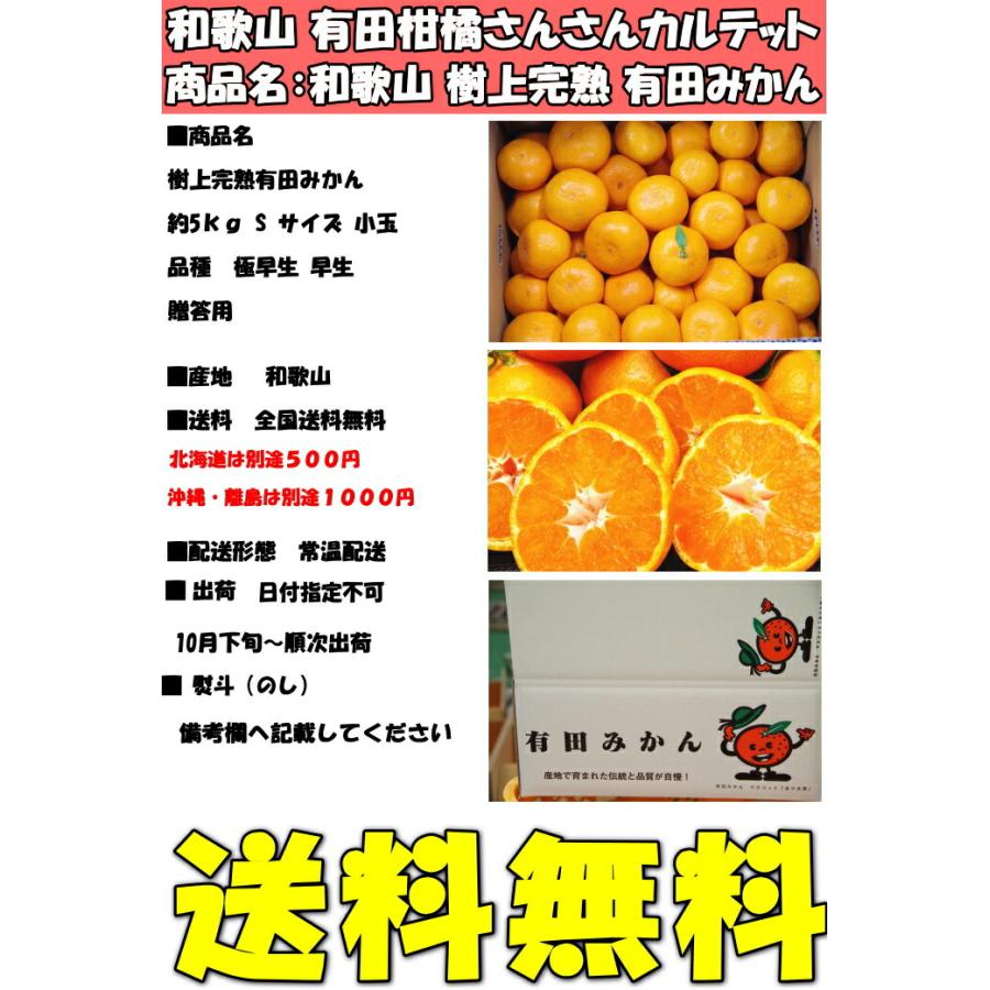 みかん 有田 小玉 甘い 糖度 送料無料 和歌山 有田さんさん 樹上完熟 早生 有田みかん 5kg sサイズ お歳暮 贈答用 贈答品 ギフト 箱 買い ありた 有田ミカン