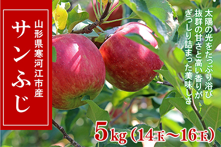 山形県産りんご「サンふじ」5kg (14玉～16玉) 大きめサイズ 贈答用 2023年産 令和5年産 山形産　018-B-CS006